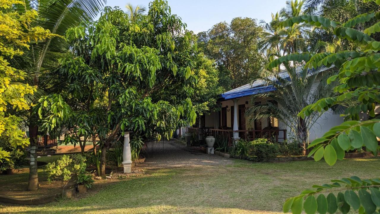 Avian Garden Udawalawe Hotel Exterior photo